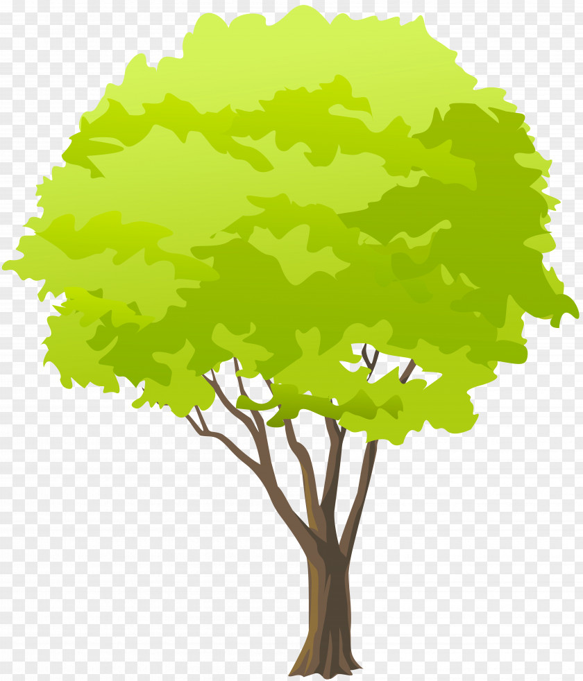 Green Tree Clip Art PNG