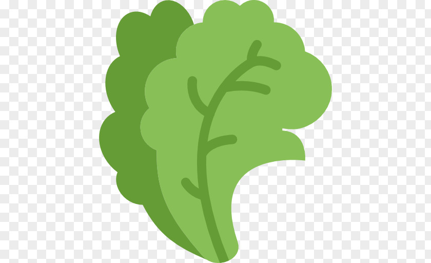 Lettuce Organic Food Vegetarian Cuisine Vegetable PNG