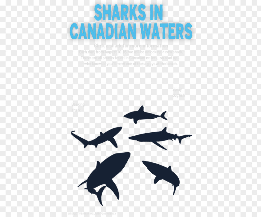 Shark Week Dolphin Killer Whale Logo Font PNG