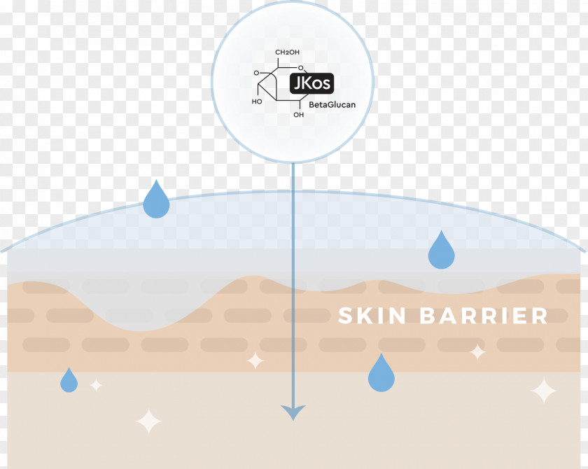 Water Brand Diagram PNG