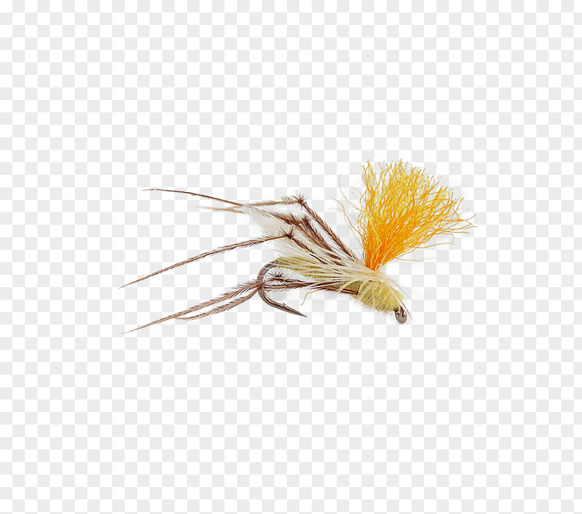 Yellow Fish Insect Crane Fly Artificial Callibaetis PNG