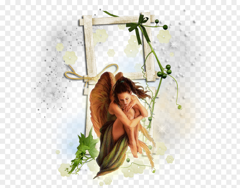 Angel Fairy Photography Love PNG