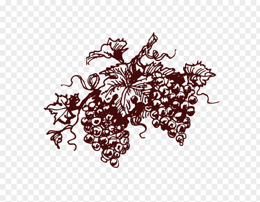 Artwork Grapes Red Wine Champagne Common Grape Vine Cava DO PNG
