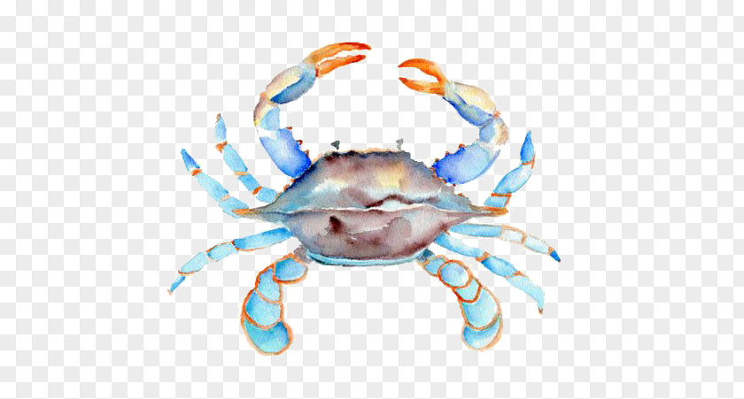 Crab Cake Watercolor Painting Chesapeake Blue PNG cake painting blue crab, and brown crab clipart PNG