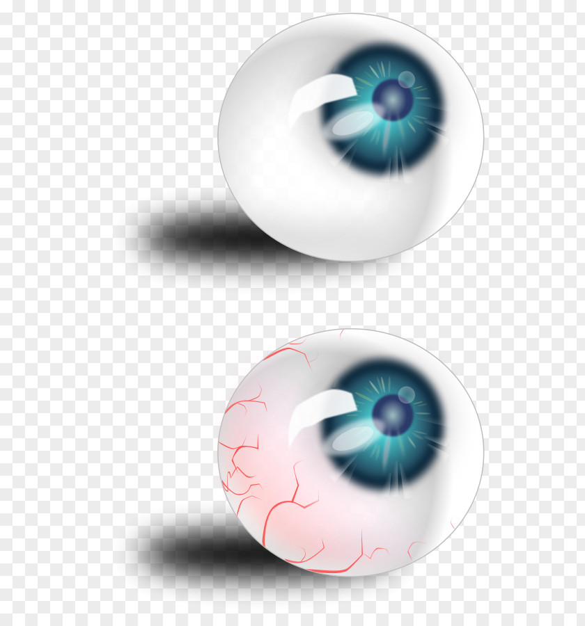 Eyeball Graphics Eye Euclidean Vector Clip Art PNG