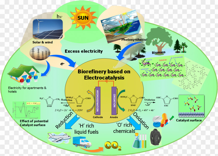 Lupe Biomass Nanoparticle Catalisador Catalysis Chemistry PNG