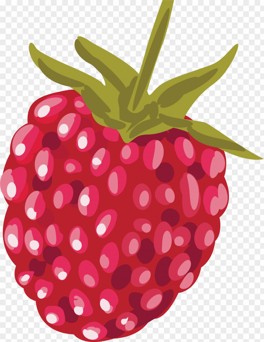 Red Raspberry Strawberry Euclidean Vector PNG
