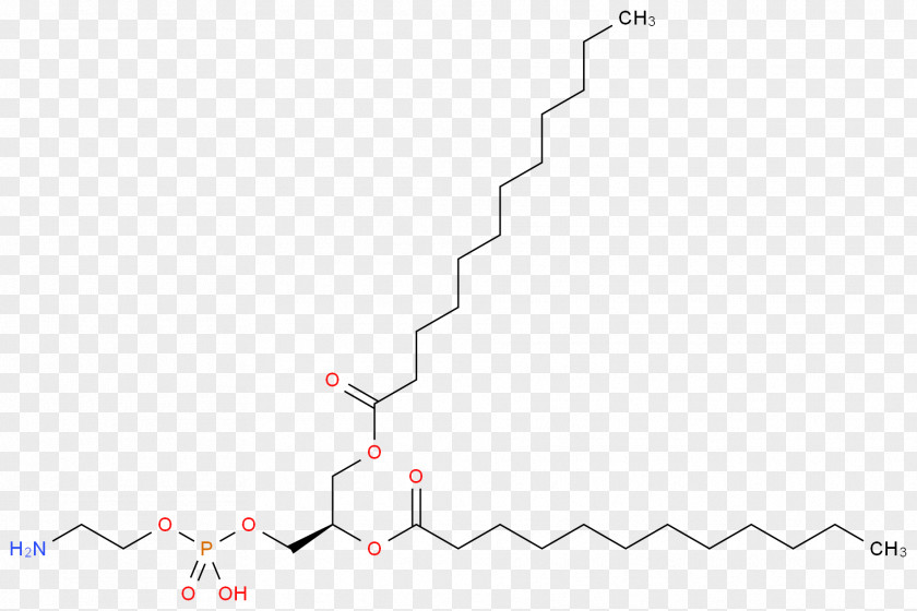 Carbon Molecular Structure Dipalmitoylphosphatidylcholine Phospholipid Wikipedia Acyl Group PNG