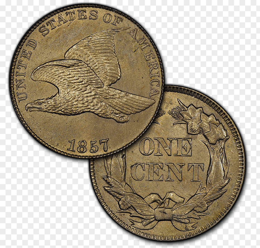 Coin Medal Nickel Bronze Copper PNG
