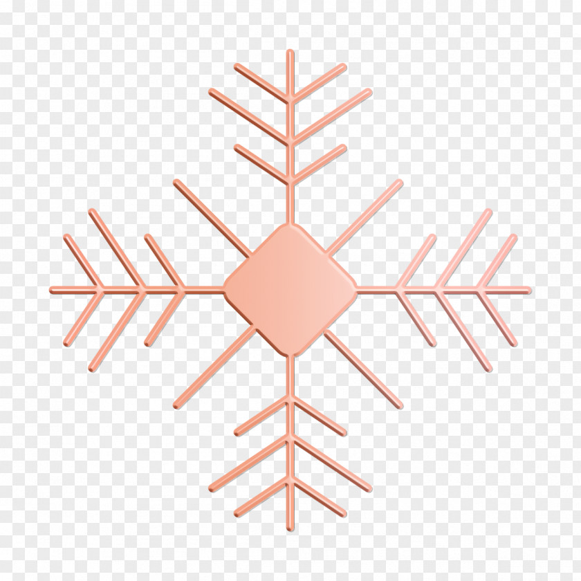 Diagram Symmetry Christmas Icon Flakes Snow PNG