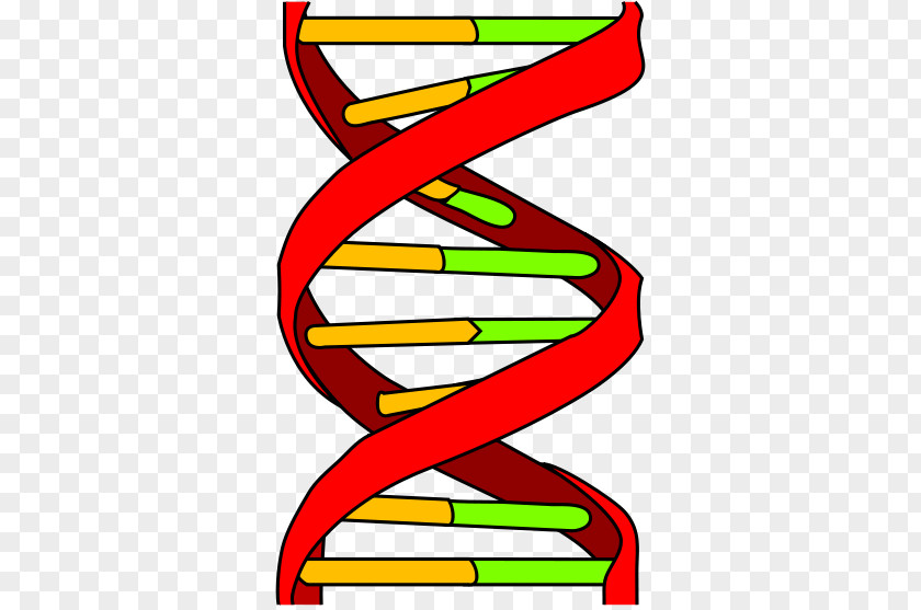 DNA Profiling Genetics Genetic Testing PNG