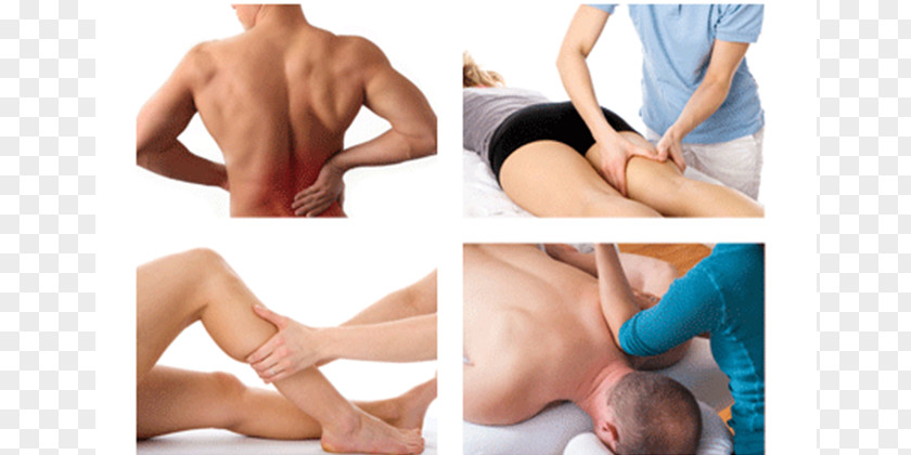 Hip Physical Therapy Massage First Rehab,Physiotherapy & Speech Centre Osteoarthritis PNG