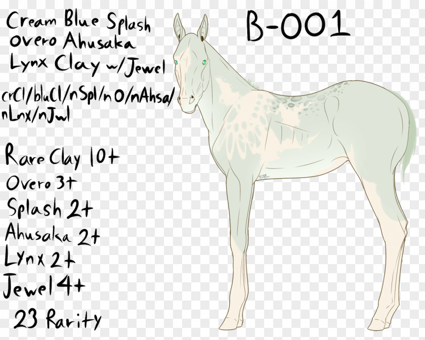 Mustang Mule Foal Mare Stallion PNG