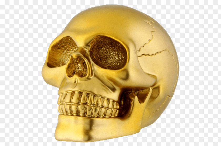 Skull Gold Human Skeleton Amazon.com PNG