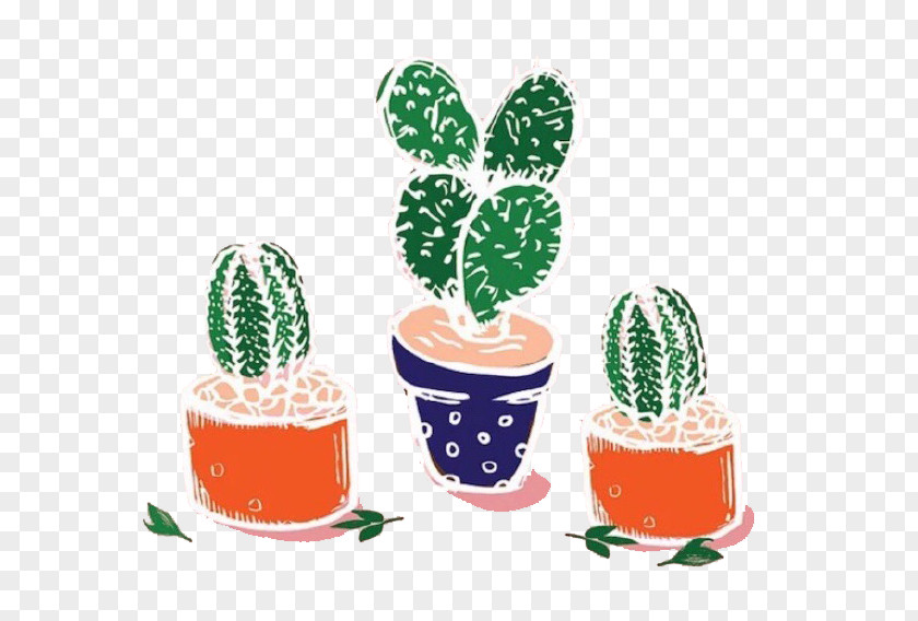 Cactus Plants Cactaceae Plant Illustration PNG