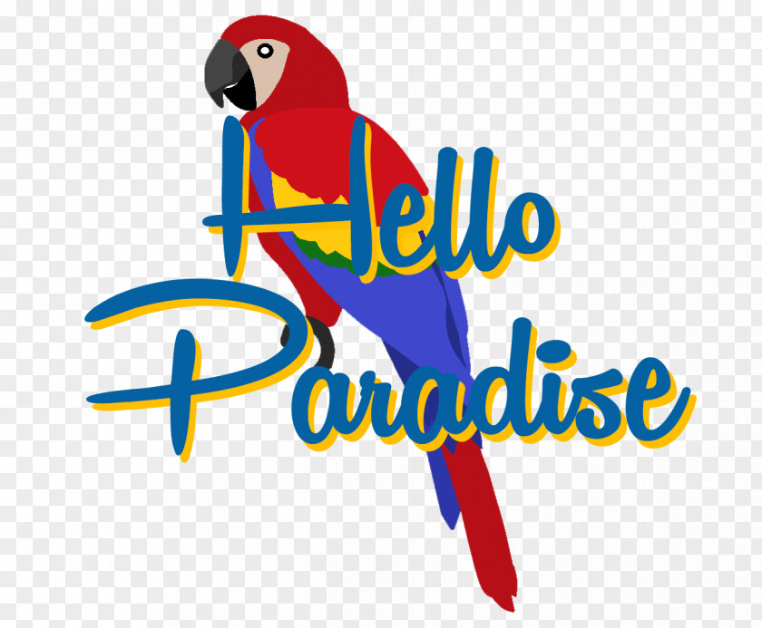 Design Macaw Lionfish Parrot PNG