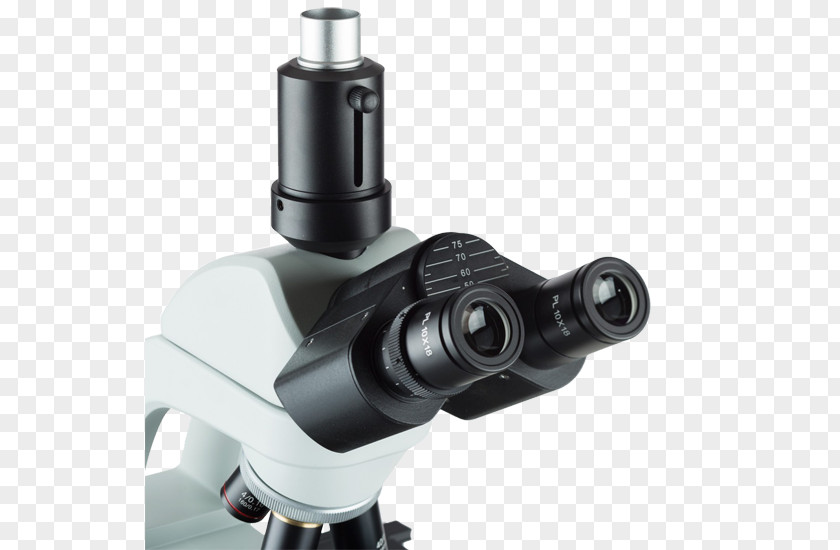 Microscope Stereo Optical Biology PNG