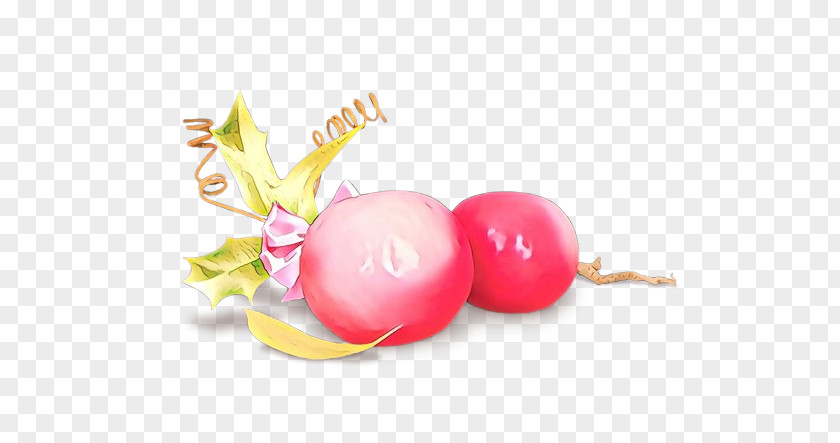 Pink Food Plant Fruit PNG