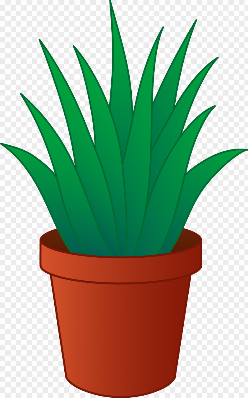 Plant Houseplant Flowerpot Clip Art PNG