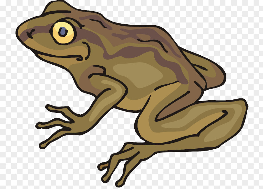 Ugly Frog Cliparts And Toad All Year Clip Art PNG