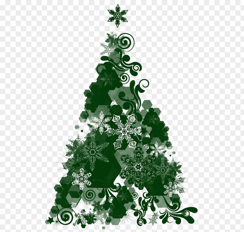Evergreen Conifer Christmas Tree Cartoon PNG