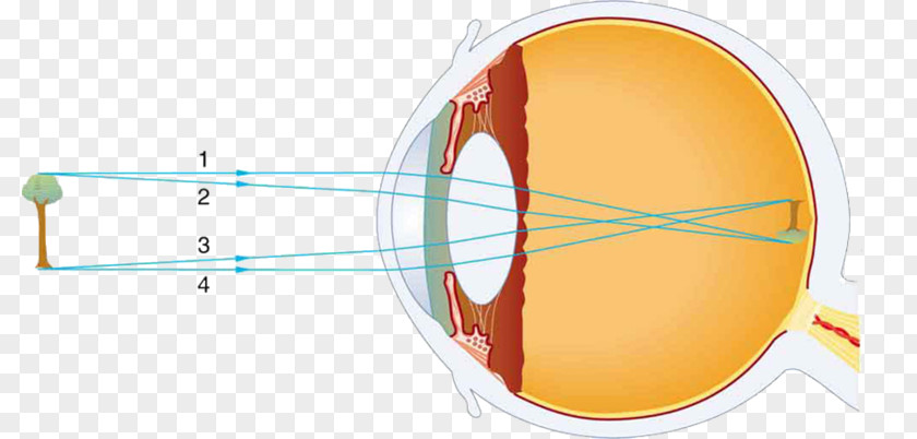 Eye Retina Human Light PNG