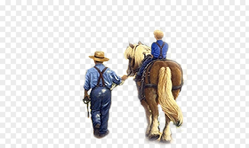 Horse Halter Cowboy Rein Pack Animal PNG