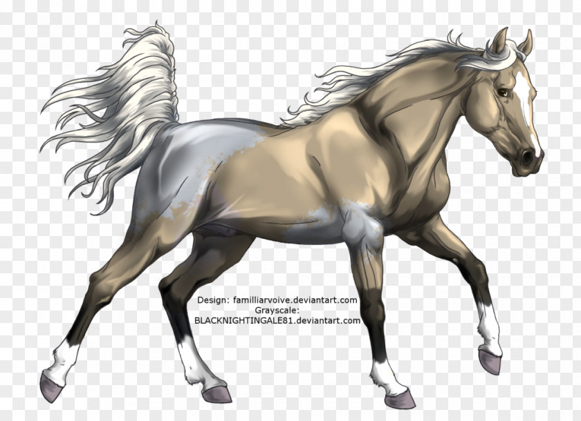 Mustang Mane Foal Stallion Pony PNG