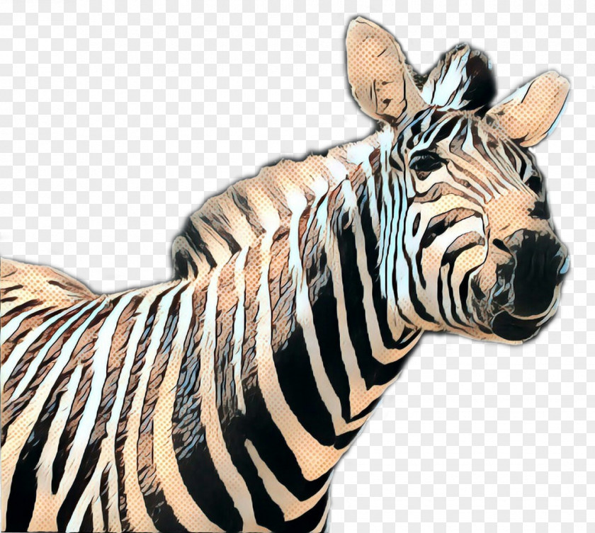 Neck Animal Figure Zebra Cartoon PNG