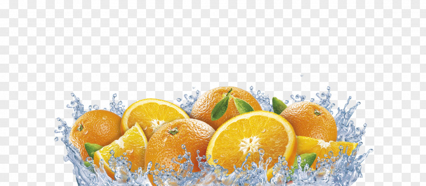 Orange Juice Jell-O PNG