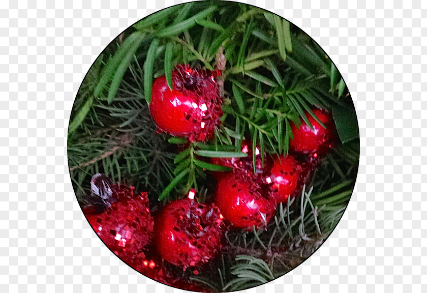 Red Peony Christmas Ornament Pine Family Day PNG