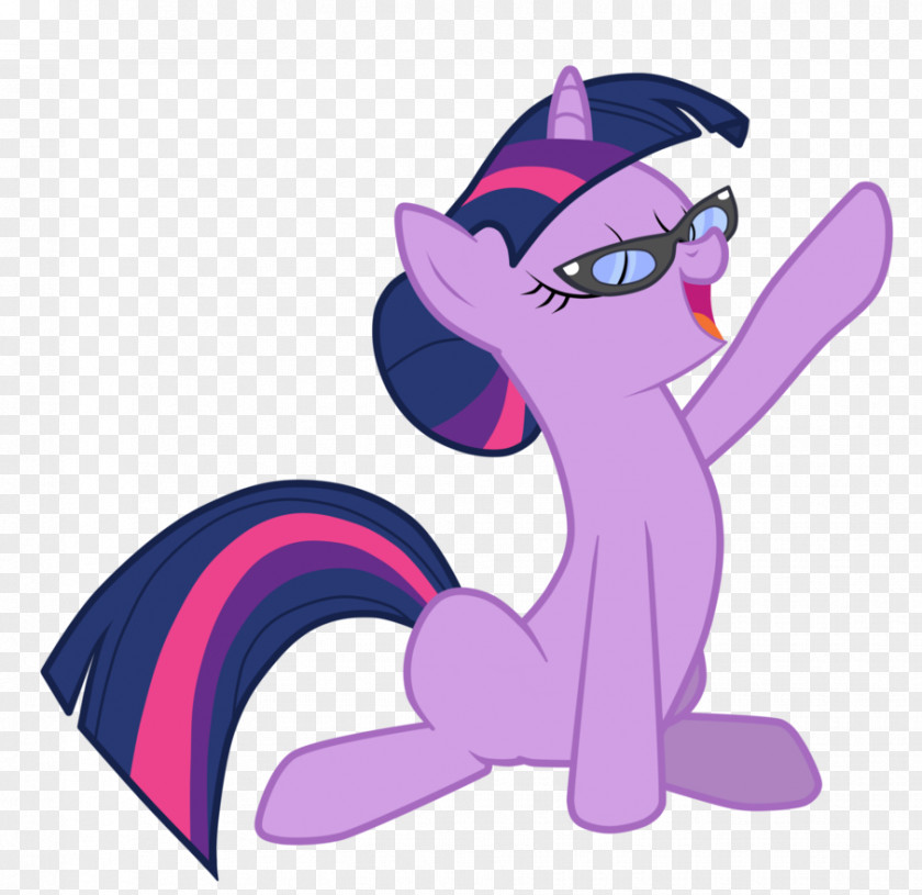 Twilight Sparkle Rainbow Dash Rarity Pony Applejack PNG