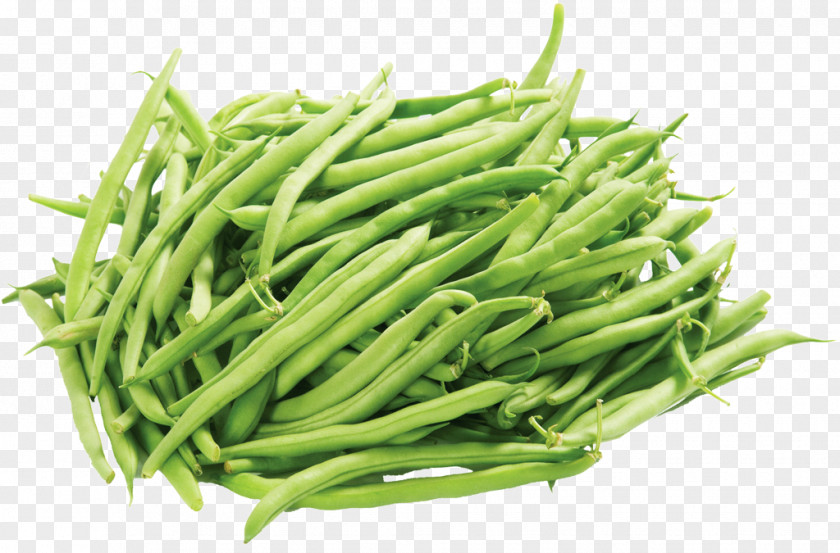 Vegetable Green Bean Refried Beans PNG