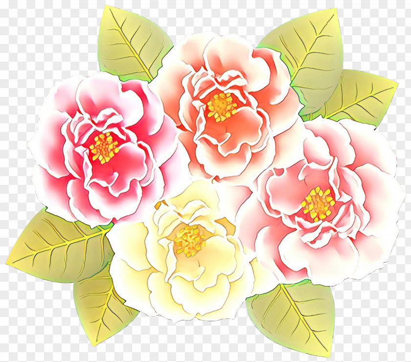 Chinese Peony Japanese Camellia Flowers Background PNG