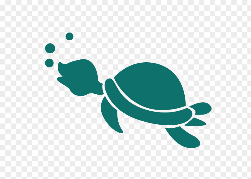 Cute Cartoon Tortoise Turtle Sea PNG