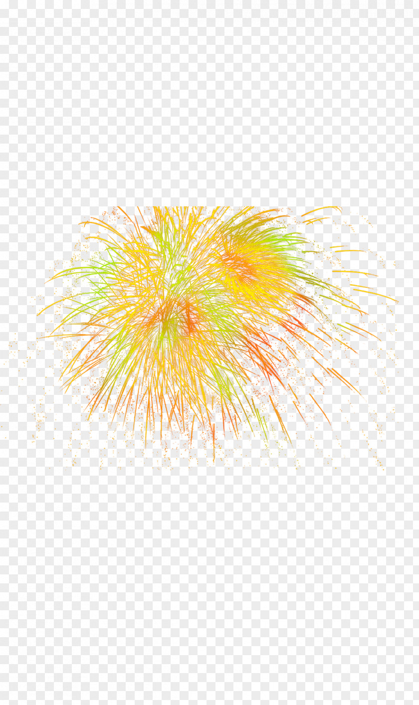 Fireworks Graphic Design Text Illustration PNG