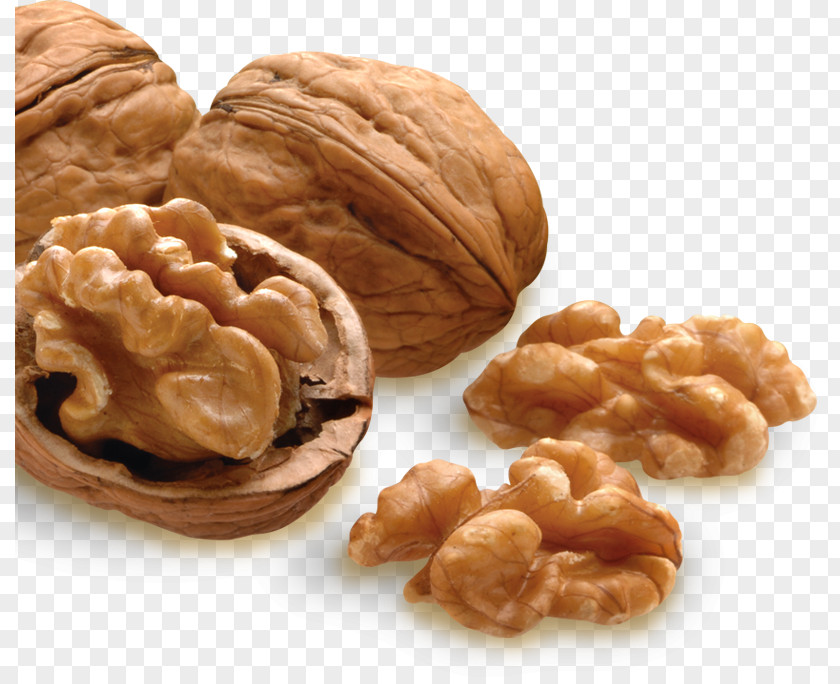Walnut Almond Pecan Nutcracker PNG