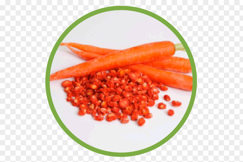 Dried Plum Baby Carrot PNG