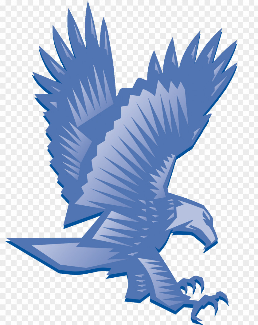 Eagle Bald Beak Clip Art PNG