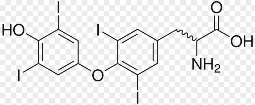 Endocrine Glands Levothyroxine Pharmaceutical Drug Thyroid Hormones Active Ingredient PNG