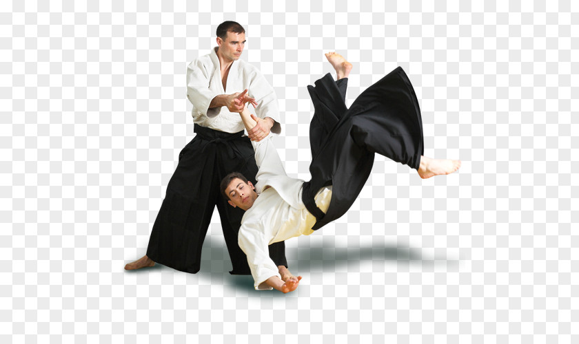 Karate Aikido Aikibudo Judo Martial Arts PNG