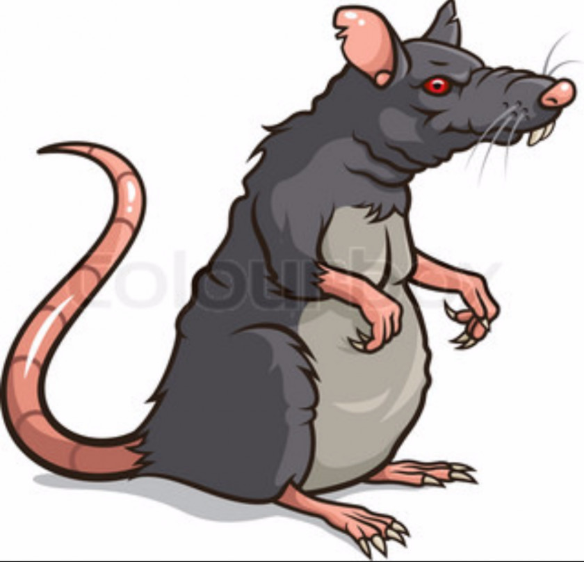 Rat Mouse Rodent Cartoon PNG