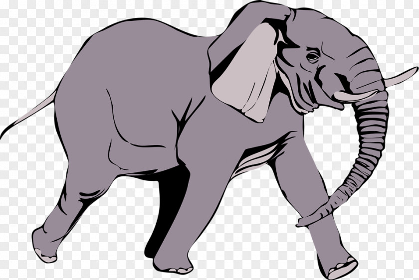 Elephant White Background African Clip Art PNG