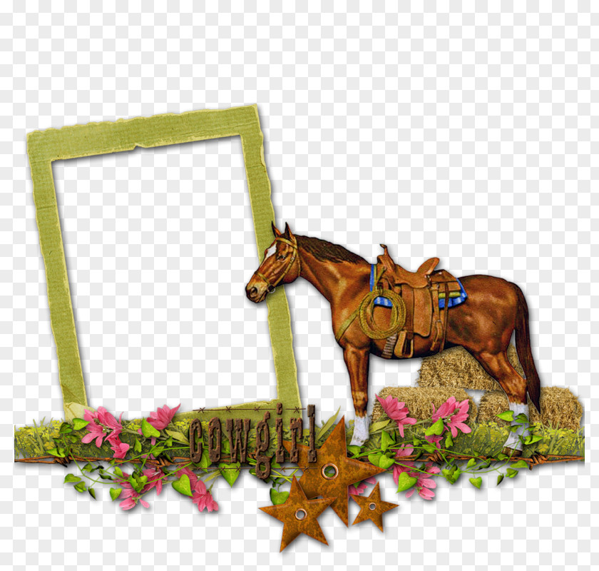 Horse Picture Frames Clip Art PNG
