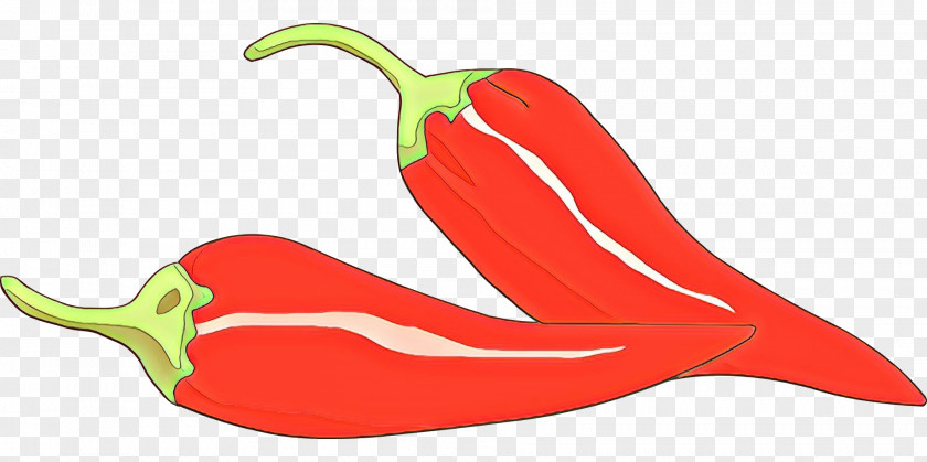 Tabasco Pepper Serrano Clip Art Cayenne Chili PNG