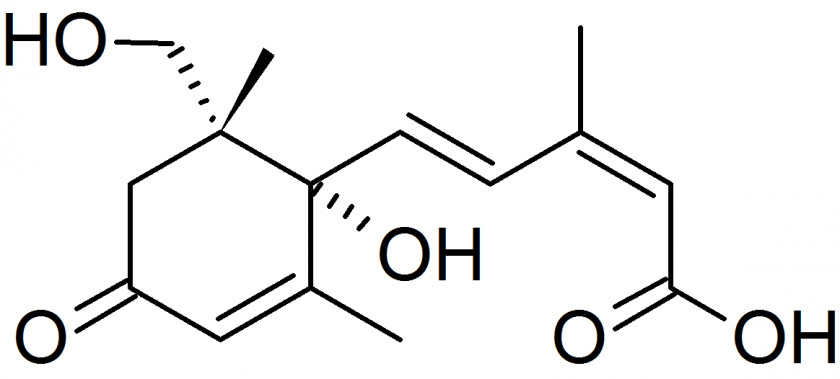 2-Nitrobenzaldehyde 4-Nitrobenzaldehyde 3-Nitrobenzaldehyde Hydroxy Group Substituent PNG