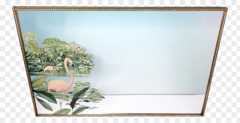 Flamingo Mirror Picture Frames Printmaking PNG