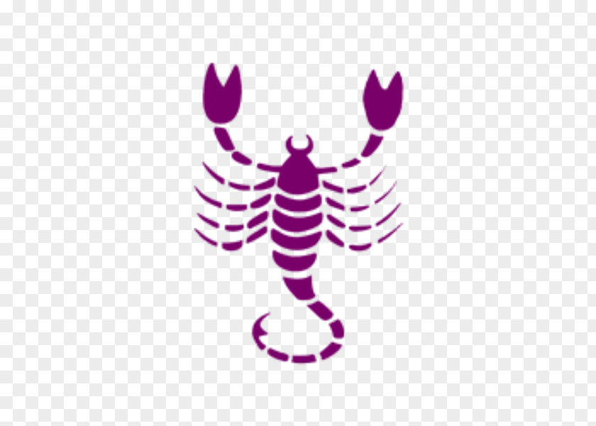 Gemini Scorpio Astrological Sign Horoscope Astrology Zodiac PNG
