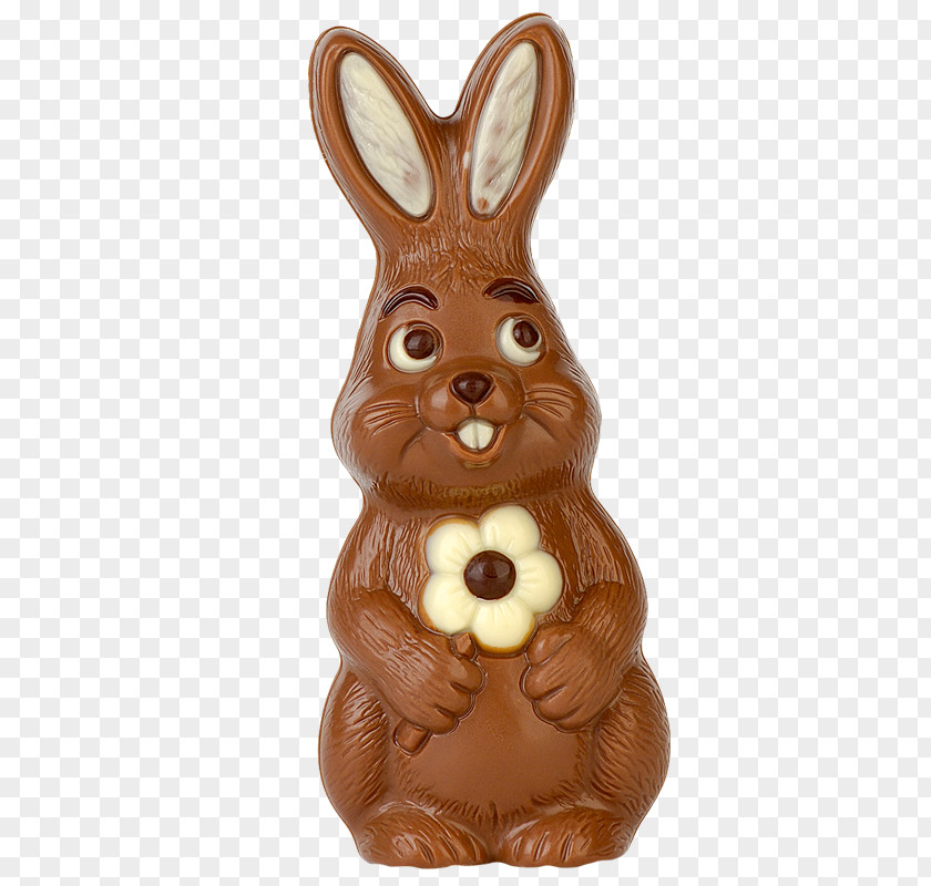 Gesehen Easter Bunny Rabbit Hare PNG