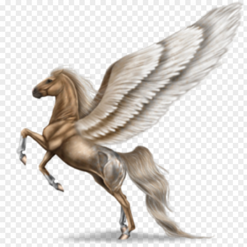 Horse Unicorn Pegasus PNG